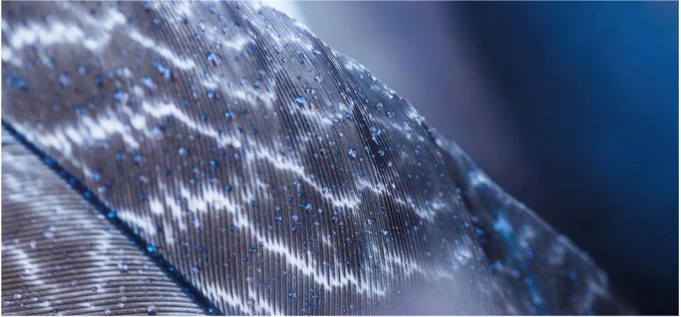 名校科研：26暑XLAB德国哥廷根大学科研：生物/化学/物理方向进！