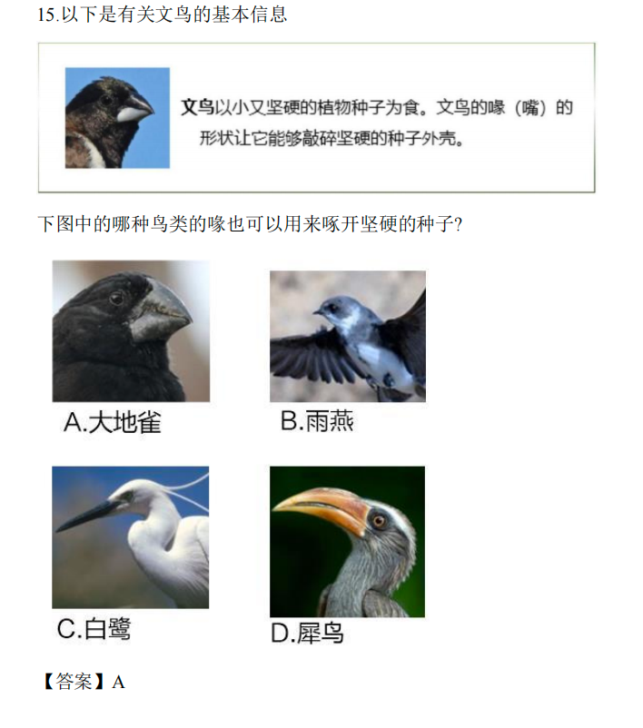 2026 IJSOC国际青少年科学素养测评（春夏季）报名开启！