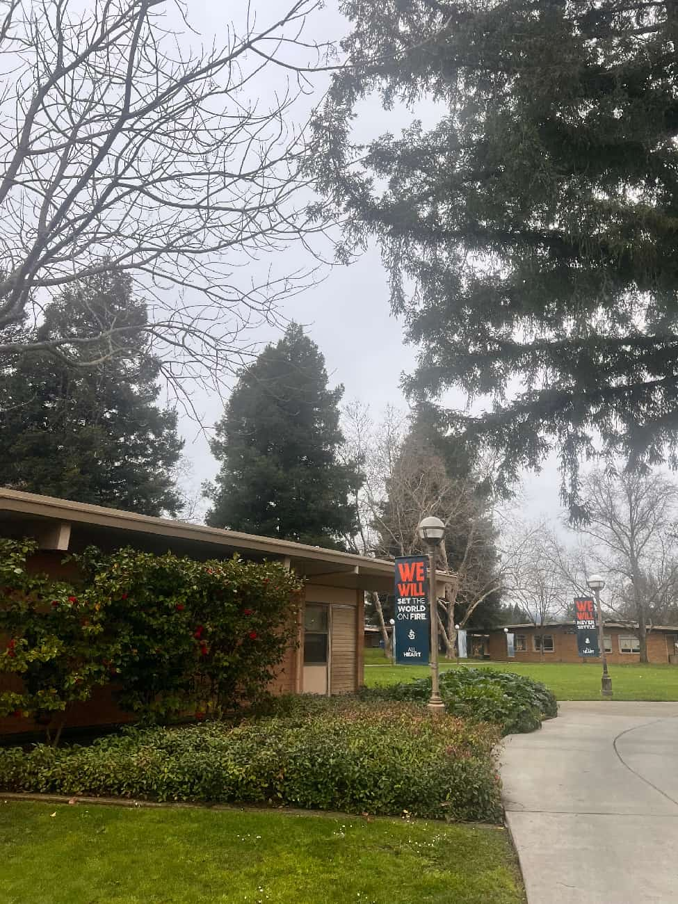 美高放榜后：“名校凤尾”与“资源鸡头”，如何选择？