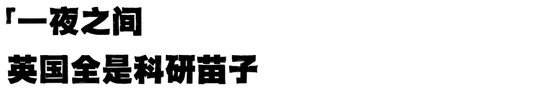 研究型硕士MRes申请人数暴增，为什么英国留学突然长出了这么多“科研苗子