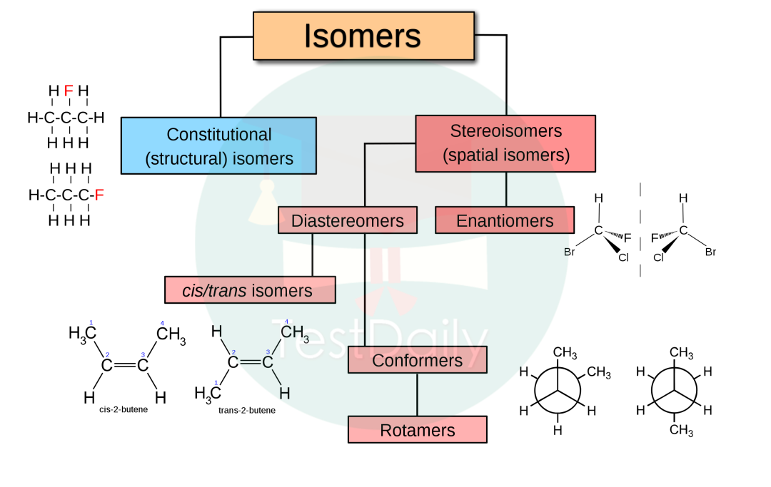 如何花最少时间拿到CCC金奖？这条捷径可别错过！