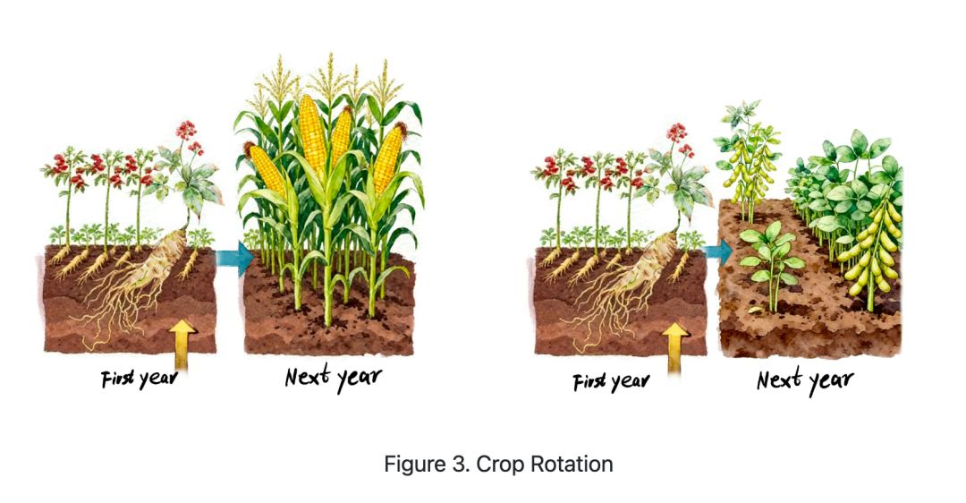 iGEM评委为何“单独点名”?从评委反馈看懂一个成熟的iGEM项目 iGEM评委为何“单独点名”?从评委反馈看懂一个成熟的iGEM项目