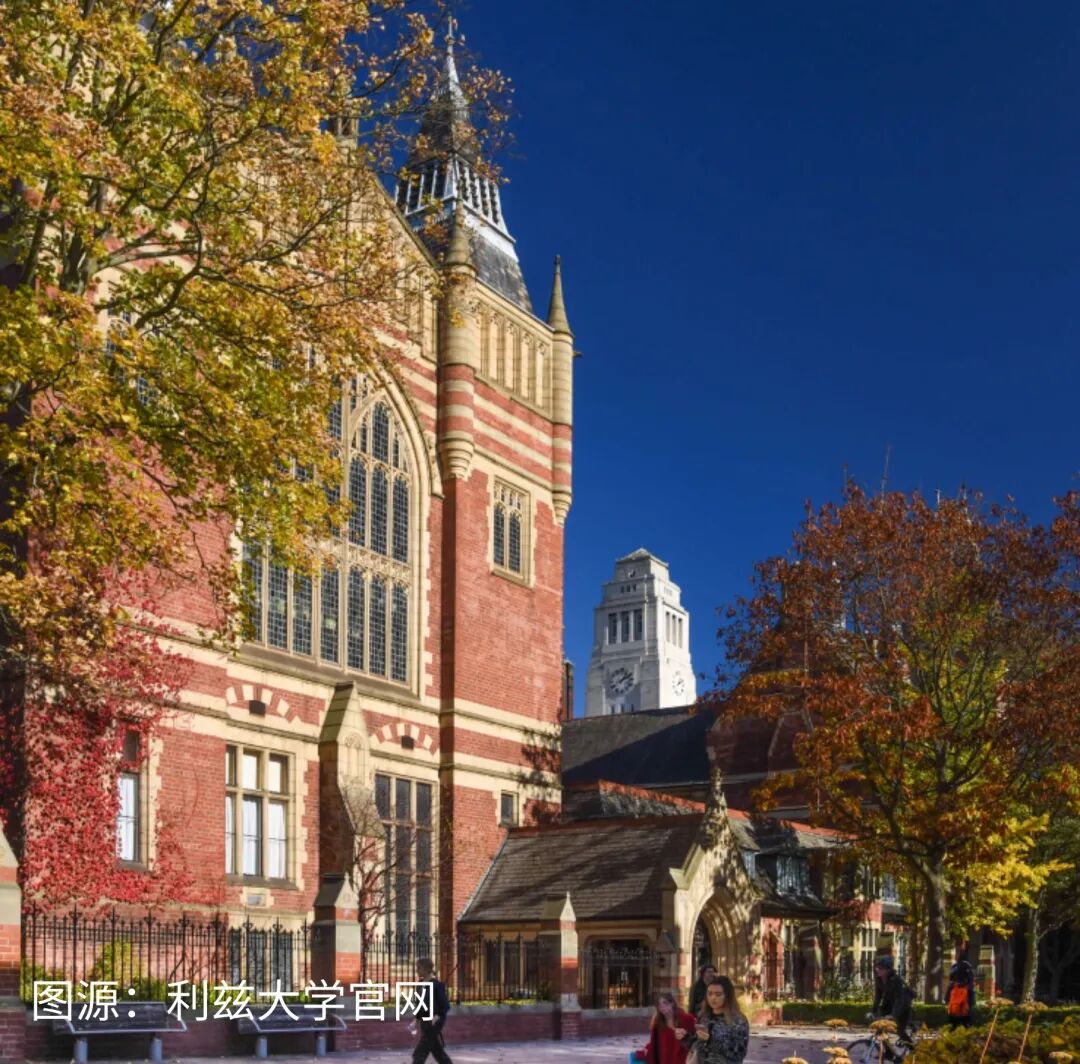 美博通关指南｜申请美博中，5类硬核技能直接决定全奖+毕业速度