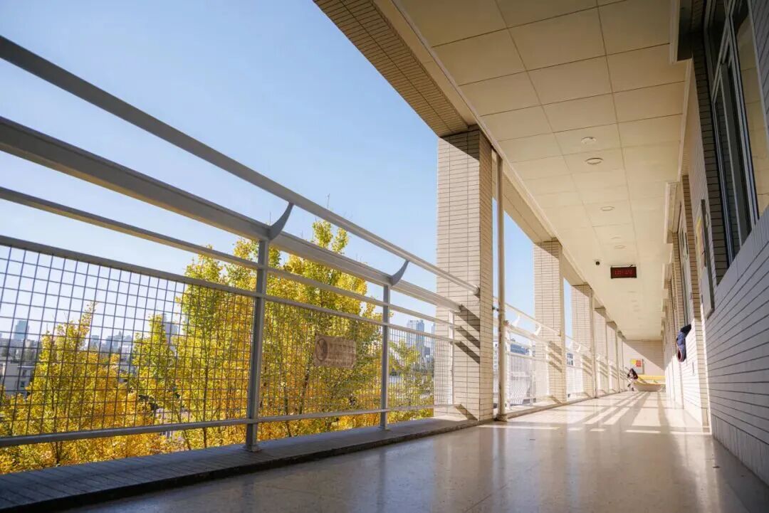 南京国际学校｜南京外国语国际部