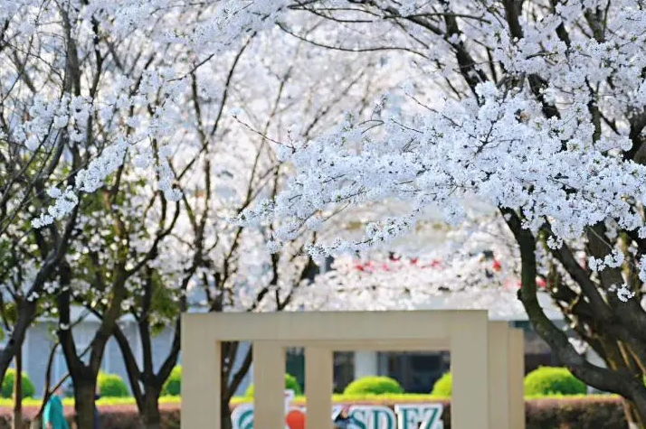 杭州国际学校｜杭州师范大学附属中学国际部