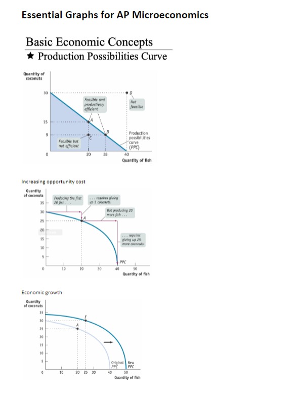 AP 微观经济备考全攻略｜高频易错 + 高效复习方法
