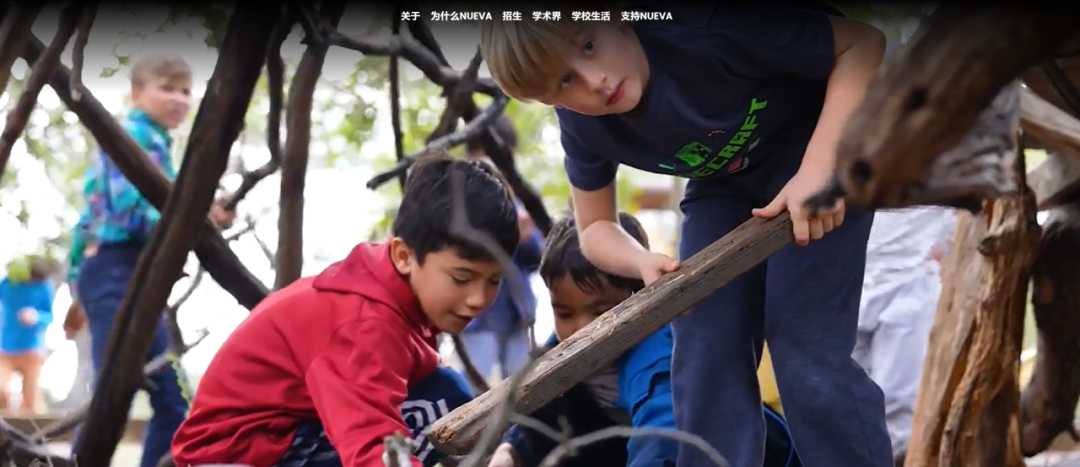 理工科“爬藤”：揭秘顶尖美高 STEM 学科的培养之路