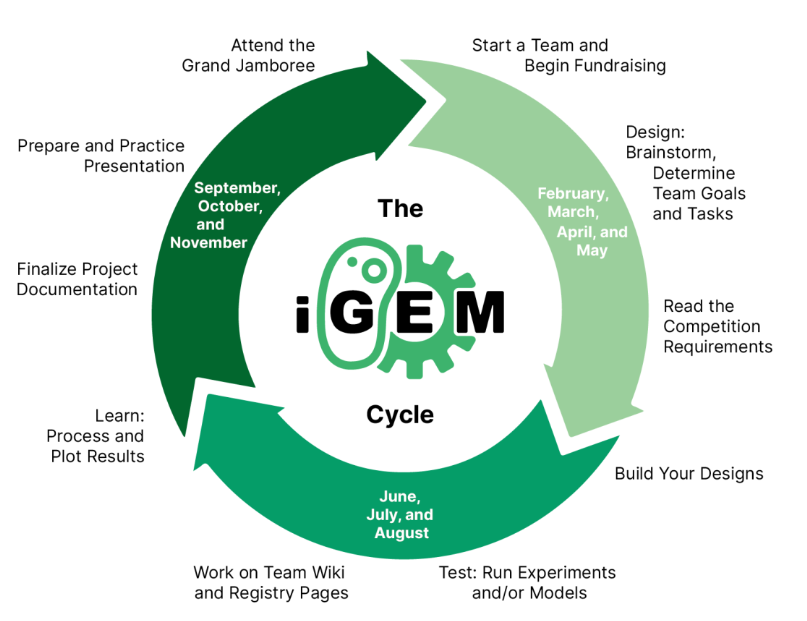 烧脑竞赛 | iGEM 国际基因工程机器大赛