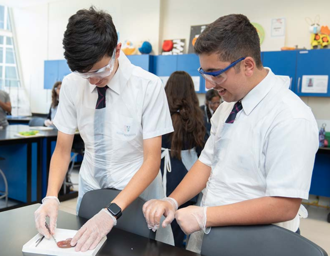 阿布扎比巴廷世界学院（Bateen World Academy）入学指南