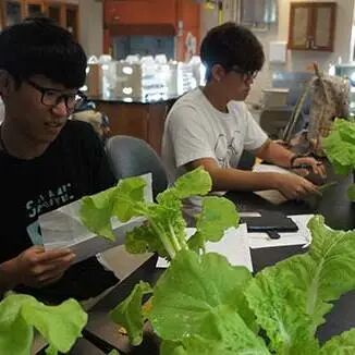 【全球学霸选拔】5-12年级可申请的普渡大学资优生项目，今年有多项奖学金支持