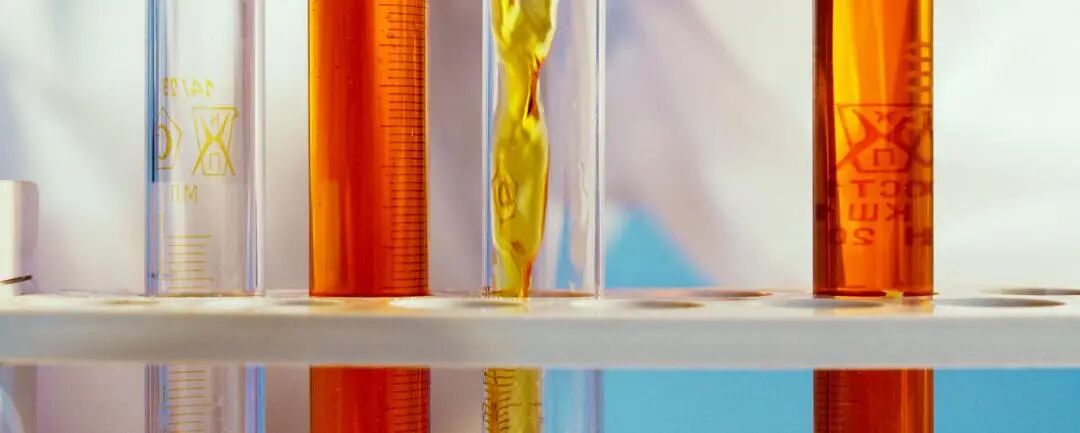 【全球学霸选拔】5-12年级可申请的普渡大学资优生项目，今年有多项奖学金支持