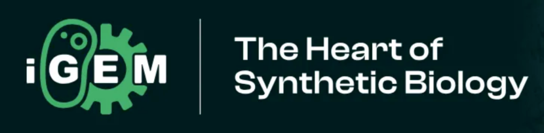 含金量最高的四大国际生物竞赛，这才是招生官眼中的“硬通货”！