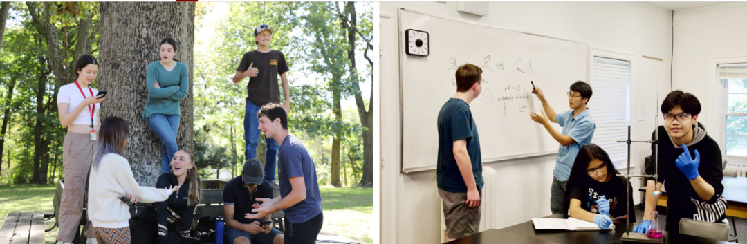 理工科“爬藤”：揭秘顶尖美高 STEM 学科的培养之路