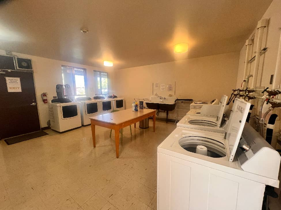 美高放榜后：“名校凤尾”与“资源鸡头”，如何选择？