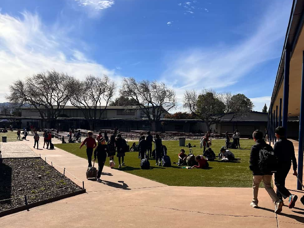 美高放榜后：“名校凤尾”与“资源鸡头”，如何选择？