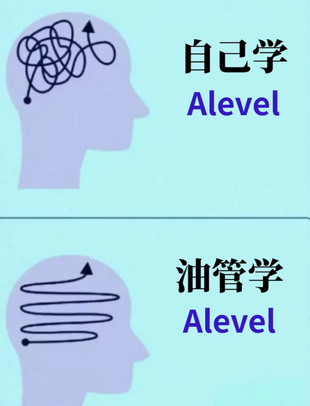 【Alevel考试倒计时】26年Alevel夏季大考变化有什么?机构课程来助你Alevel最后冲刺! 【Alevel考试倒计时】26年Alevel夏季大考变化有什么?机构课程来助你Alevel最后冲刺!