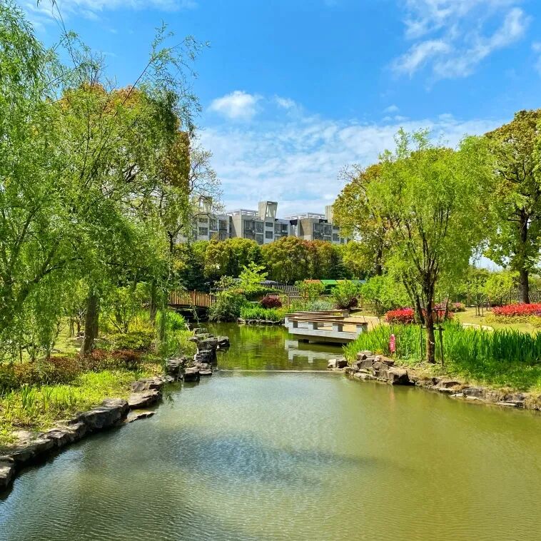 2026年上海浦东新区民办宏文学校招生简章