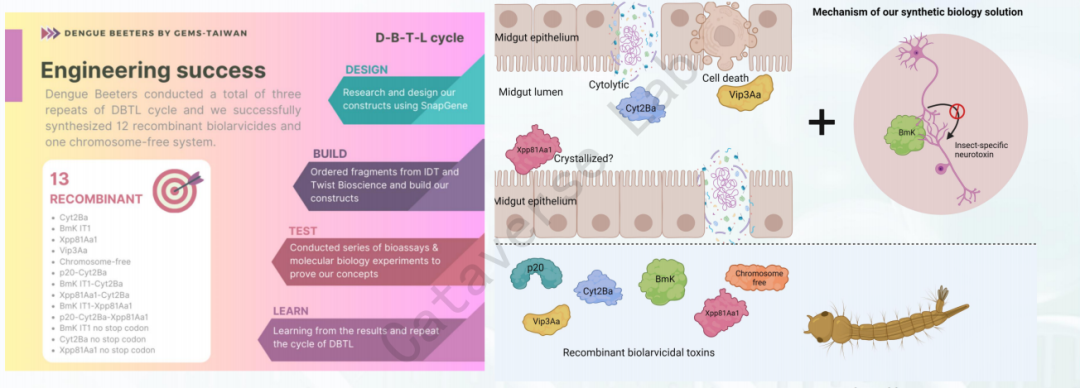 2026 iGEM 第一堂课｜解锁合成生物学顶赛，打开合成生物学的未来之门