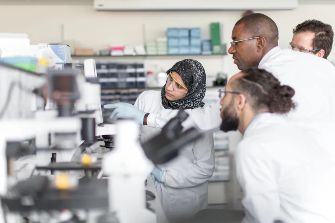 IC | 帝国理工再开新赛道，本科新增两大专业方向，哪些学生更适合申请？