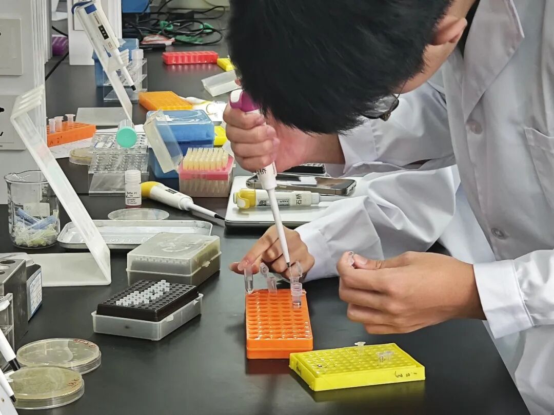 【国际|竞赛】iGEM 全解析，解锁高中生科研与成长的“天花板”！