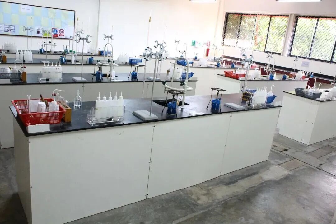 博偉国际教育学院| AEIS入新加坡政府中/小学备考课程