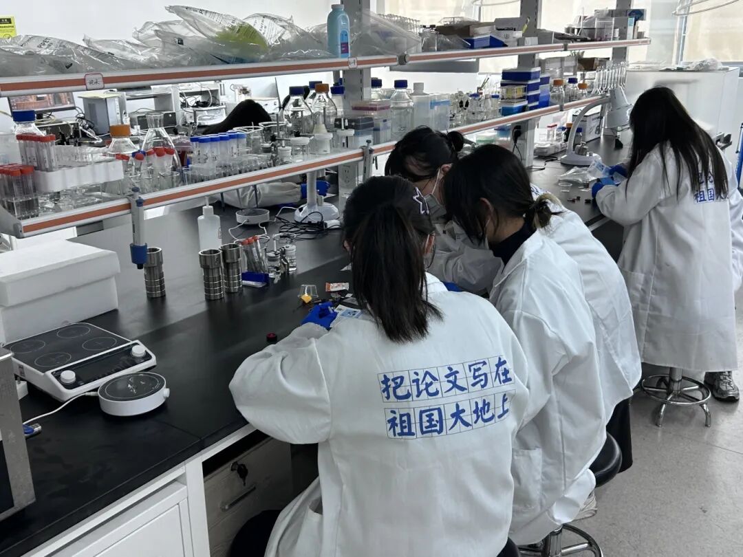 项目回顾 | 氢能电池：合成燃料电池的新型催化剂