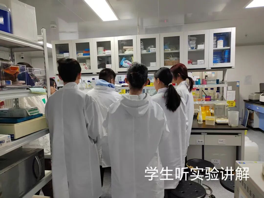 项目回顾 | 免疫治疗药物的开发与创新