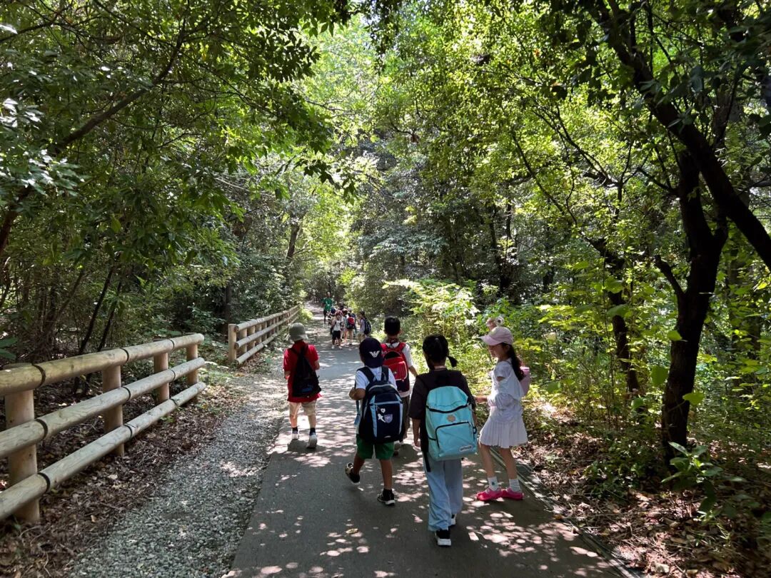 日本夏校集锦来了！不用倒时差，低成本带娃感受顶尖教育氛围~