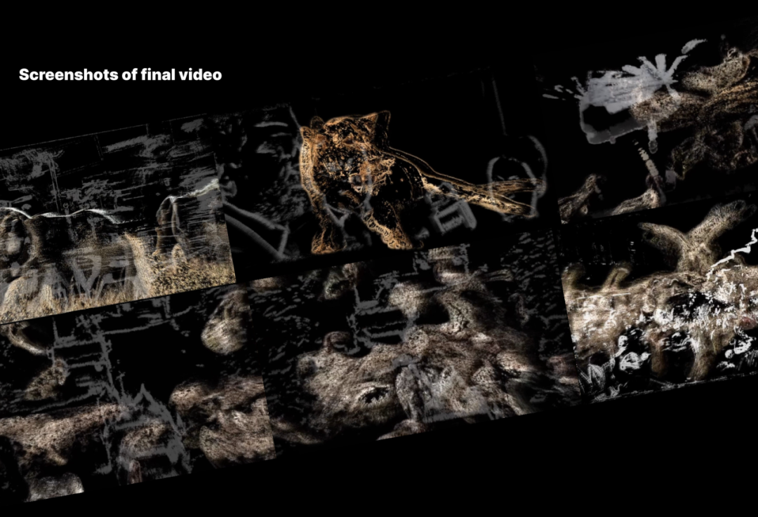 2026届丁希：在剑桥设计专业，成为理科最强的艺术生