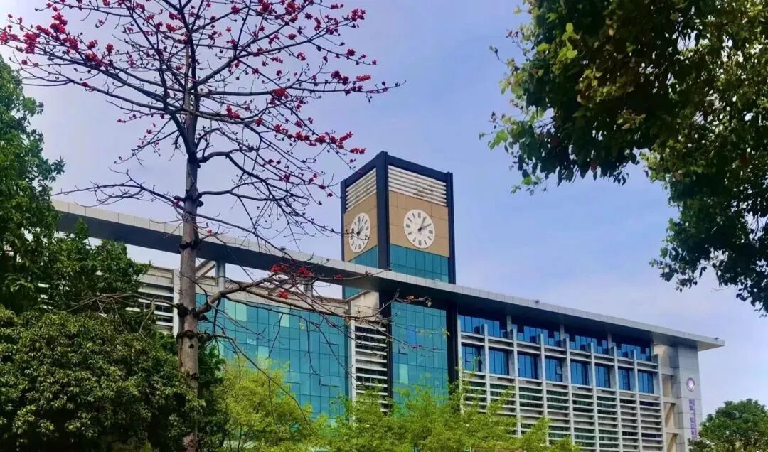 2026DSE已开考！一文搞懂香港DSE考试（附深圳各区开设DSE学校）