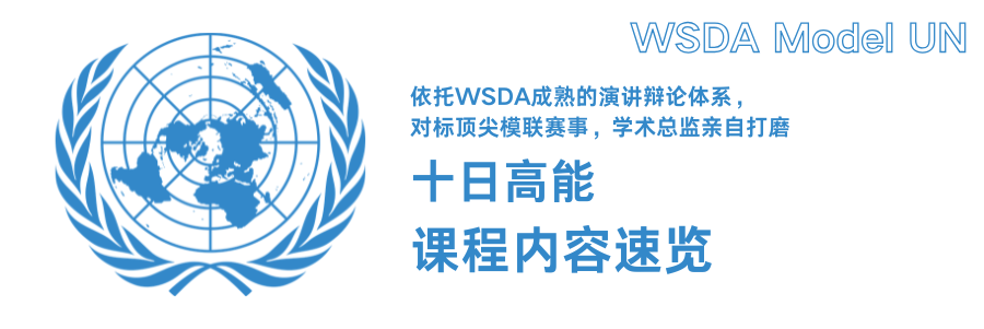 想成为“国家代表”的孩子，请举手！WSDA MUN模拟联合国营招募中！