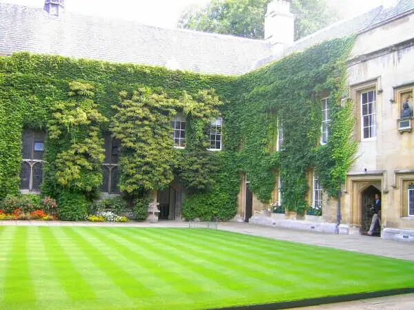 牛津 工程 PS 赏析 2026