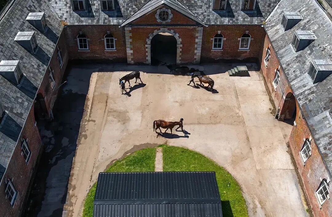 Bryanston School｜IB成绩40分以上超六成，入围英国2025年度最佳混校，马术强校+诺贝尔奖摇篮