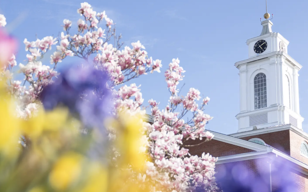 USNews榜上无名，却是藤校生都羡慕的神仙学校？这10所美本隐藏的王者，90%的留学家庭都不知道！