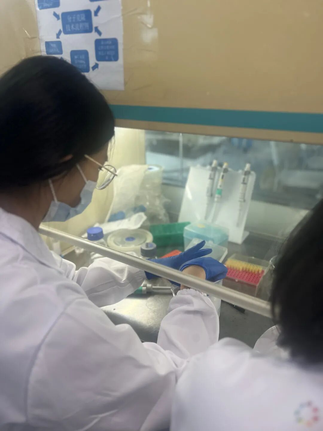 【生物科研】站在基因科技的最前沿：加入华大基因，亲历人类基因组解读革命​