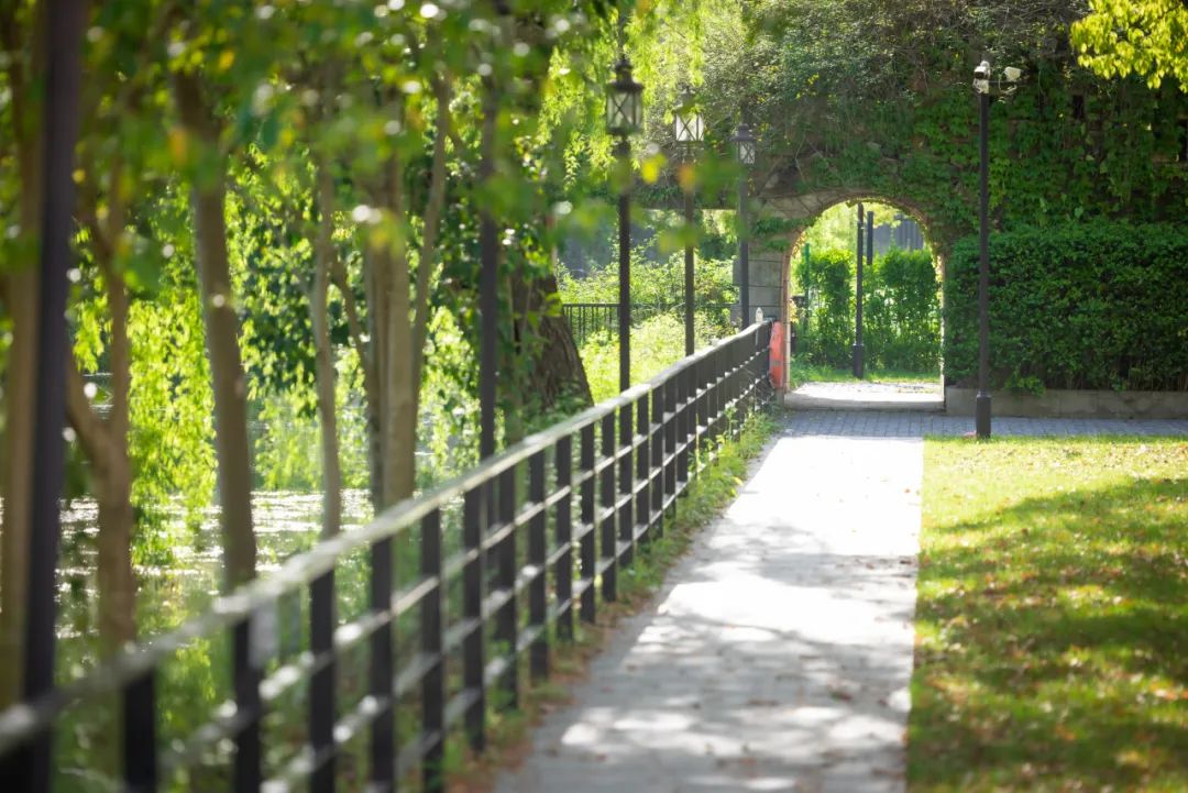 上海松江国际高中 | 上海阿德科特学校2026年秋招简章！