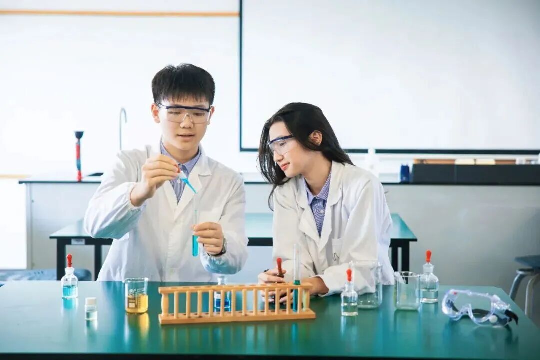 2026学年上海浦东新区民办沪港学校小学及初中招生简章 2026学年上海浦东新区民办沪港学校小学及初中招生简章