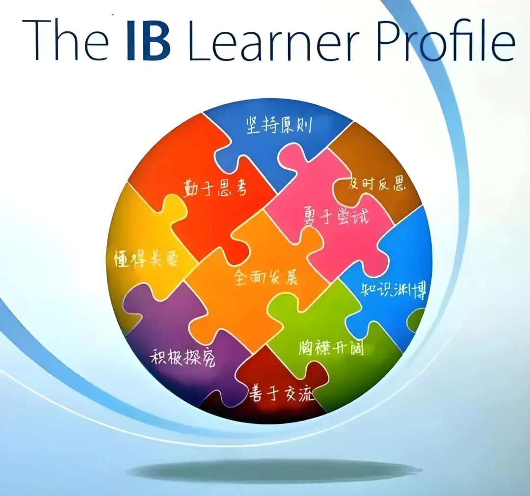 IB高分家长经验：不鸡娃不内耗选对IB课程辅导机构孩子轻松冲7分！