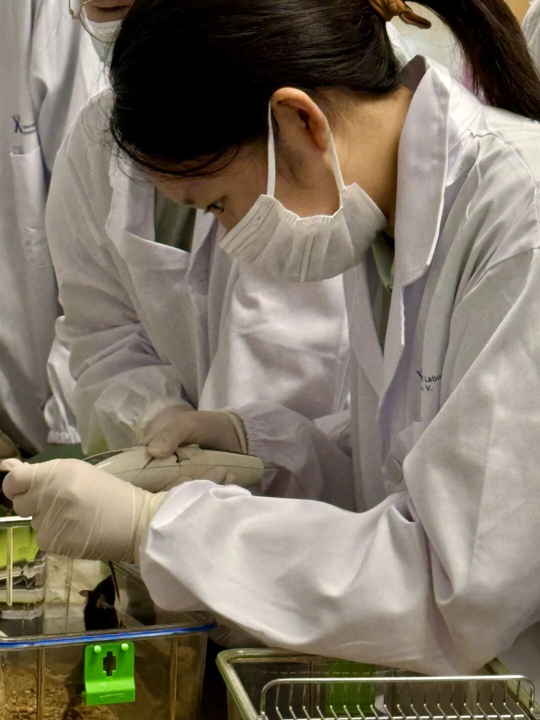 【生物医学科研】赋能免疫细胞：让治愈癌症成为可能，探索TCR-T实体瘤免疫治疗