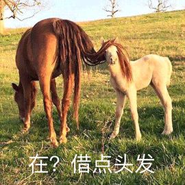 普高学生如何获得“丘成桐中学科学奖”国家二等奖？前辈分享“头秃”备考经验！