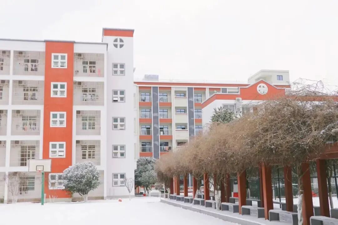 2026春季常规赛｜合肥线下城市赛参赛指南