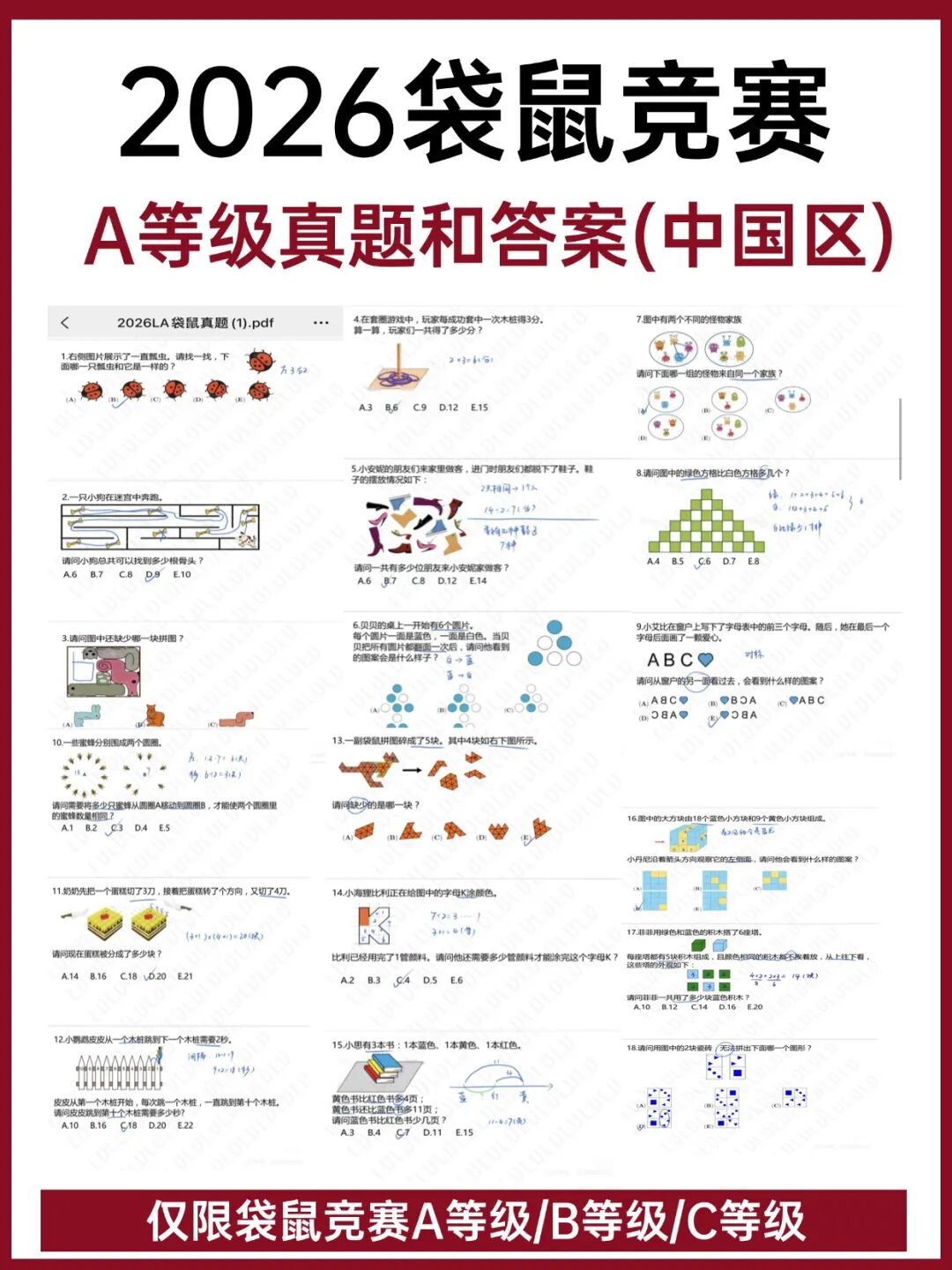 2026年袋鼠竞赛考情分析：出现4大新变化，附2026年袋鼠竞赛真题+答案解析(中国区）