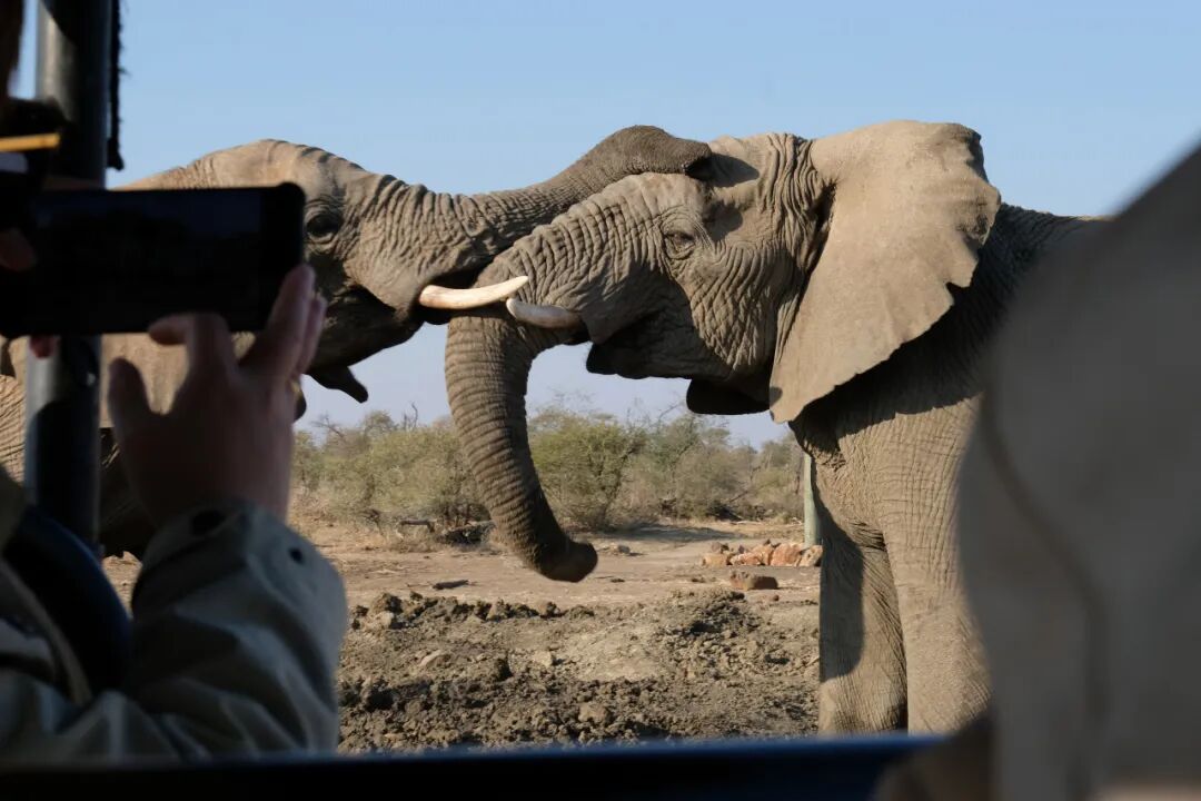 2026届丁希：在剑桥设计专业，成为理科最强的艺术生