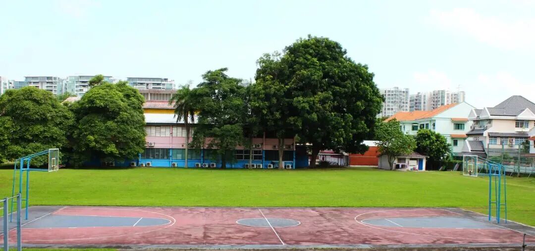 博偉国际教育学院| AEIS入新加坡政府中/小学备考课程