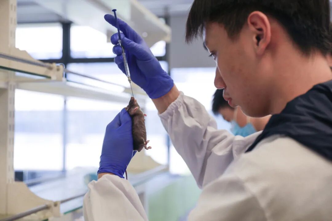 探寻24诺贝尔化学奖：AI赋能蛋白质设计