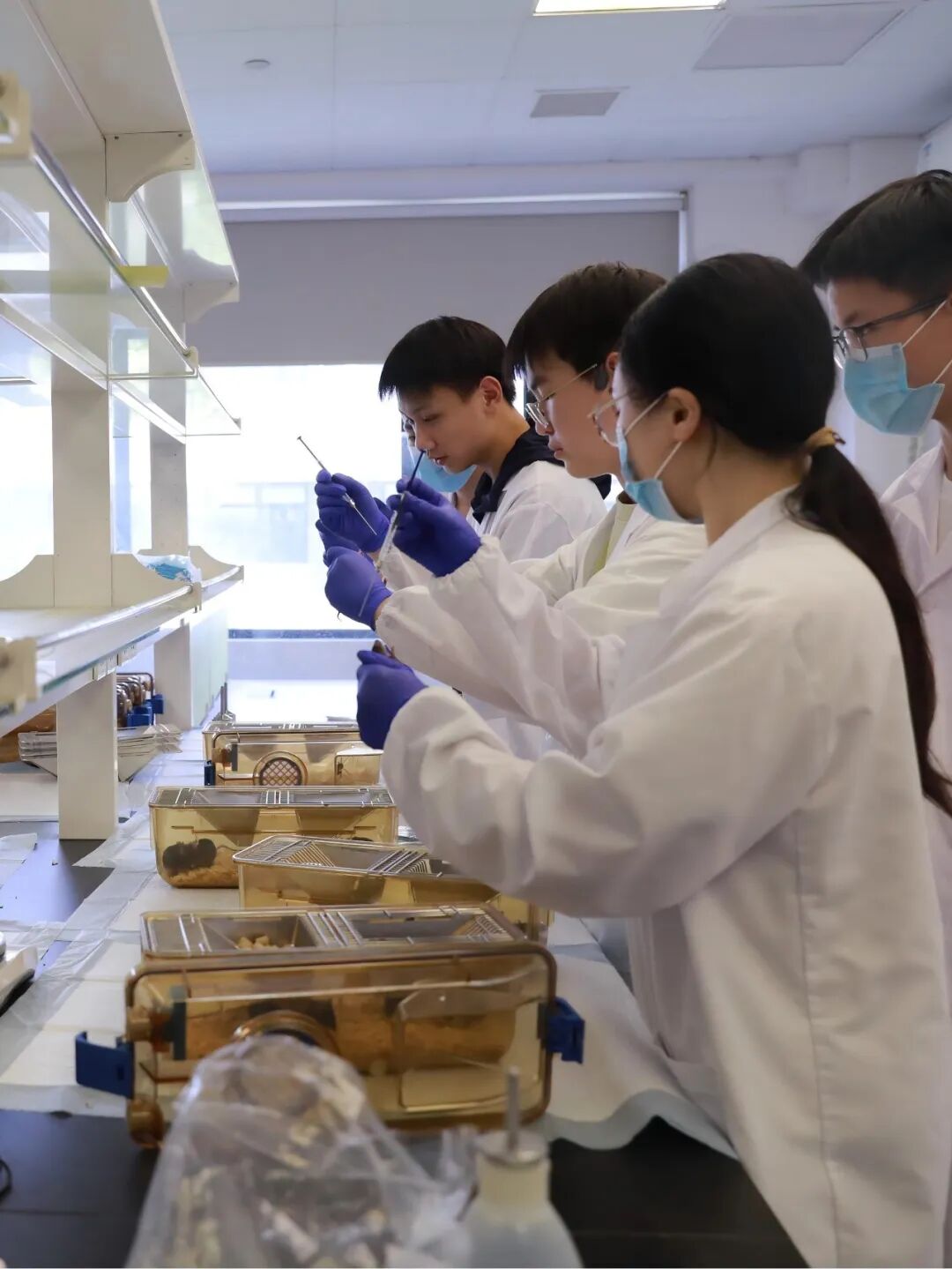 探寻24诺贝尔化学奖：AI赋能蛋白质设计