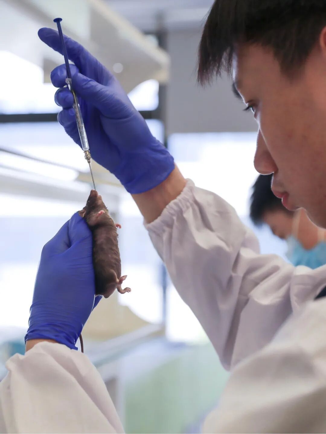 探寻24诺贝尔化学奖：AI赋能蛋白质设计