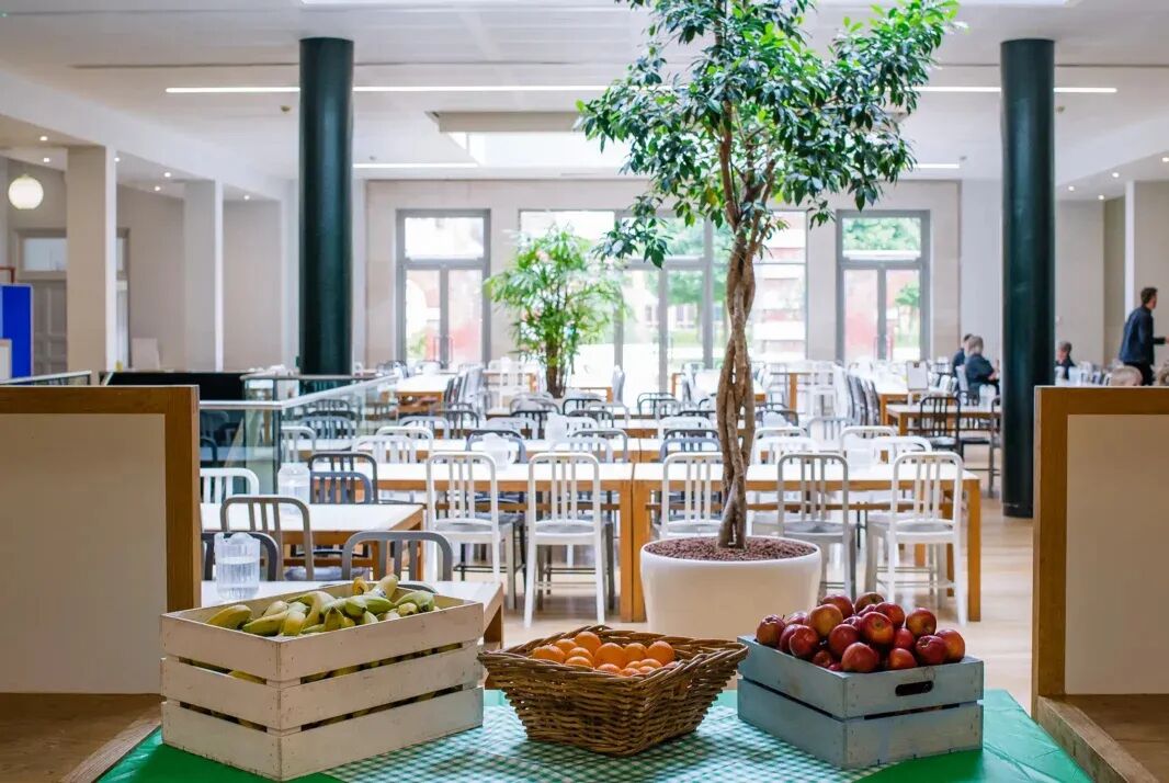 Bryanston School｜IB成绩40分以上超六成，入围英国2025年度最佳混校，马术强校+诺贝尔奖摇篮