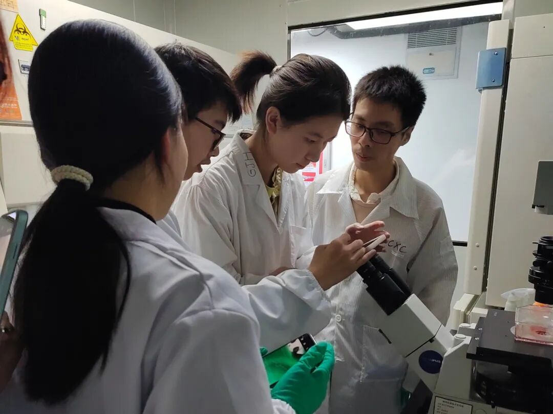 项目回顾 | 免疫治疗药物的开发与创新