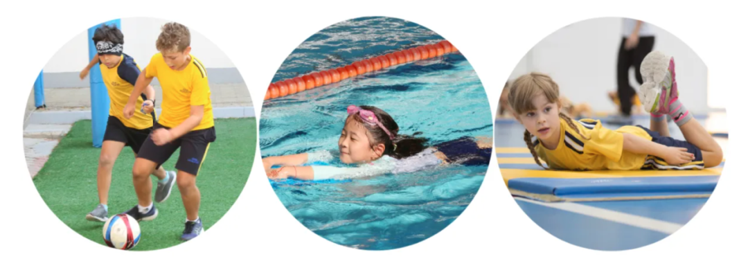 阿布扎比美国国际学校（American International School Abu Dhabi）入学指南